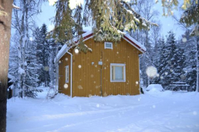 Villa Seven in Rovaniemi